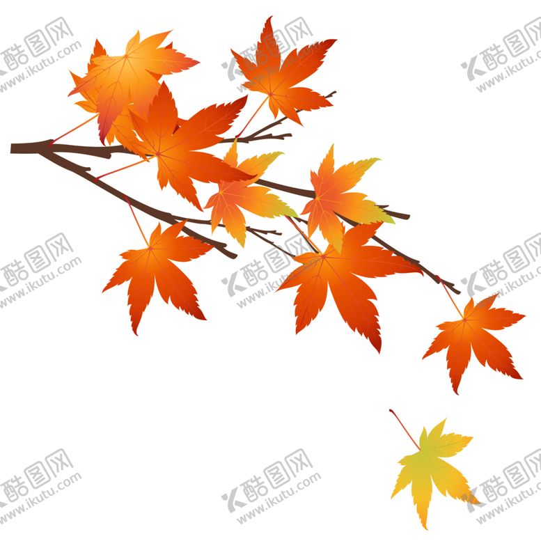 编号：94443901171252059576【酷图网】源文件下载-秋天元素