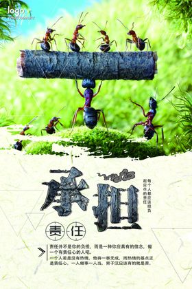 团队协作勇承担重责