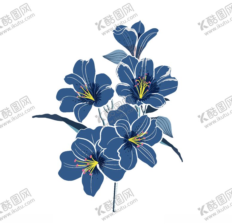 编号：46402905110843011324【酷图网】源文件下载-手绘蓝色花朵植物