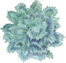 手绘植物