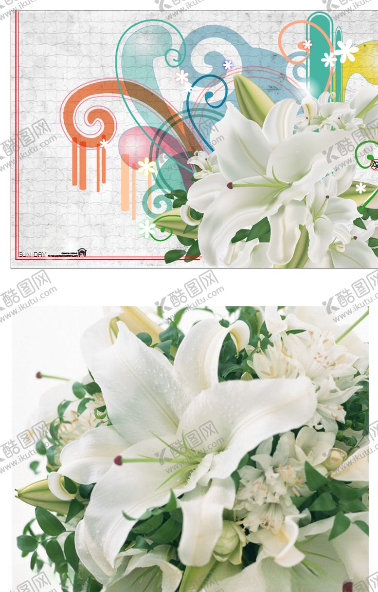 编号：31088505041952326581【酷图网】源文件下载-百合百合花矢量教师节母