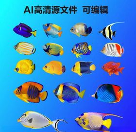 海鱼宣传海鱼挂画冷藏海鱼