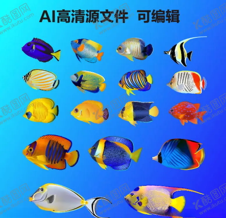 编号：70226906272047546748【酷图网】源文件下载-海鱼宣传海鱼挂画冷藏海鱼