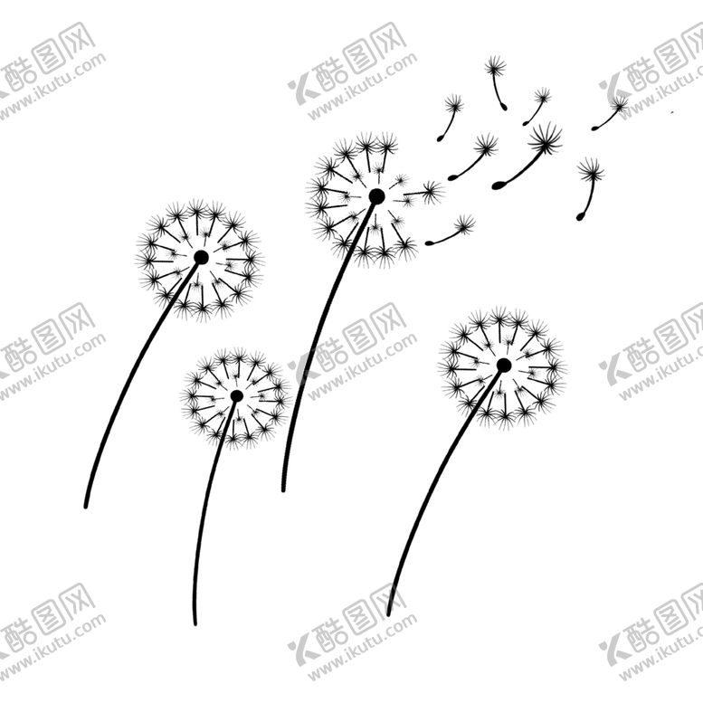 编号：44307406170339013959【酷图网】源文件下载-手绘黑白蒲公英