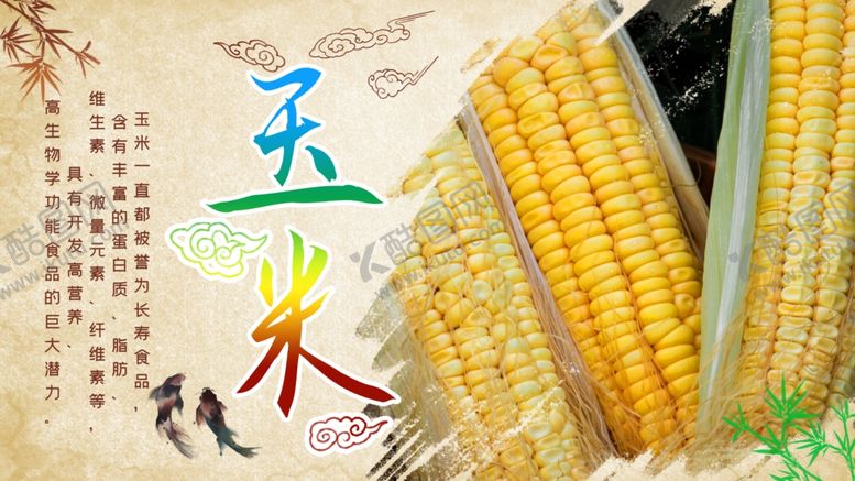 编号：32859001251645146969【酷图网】源文件下载-玉米