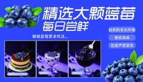 精选大颗蓝莓每日鲜享