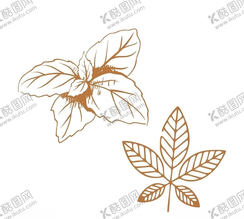 编号：47979505161308192863【酷图网】源文件下载-药草