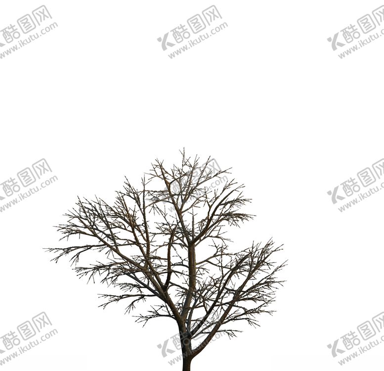 编号：34991610310440131983【酷图网】源文件下载-树木