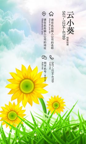 向阳花名片