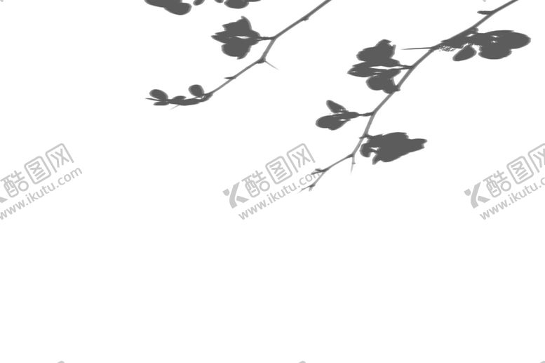 编号：91673701280140457340【酷图网】源文件下载-植物光影