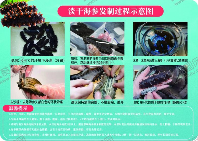 编号：67433001250432544685【酷图网】源文件下载-海参