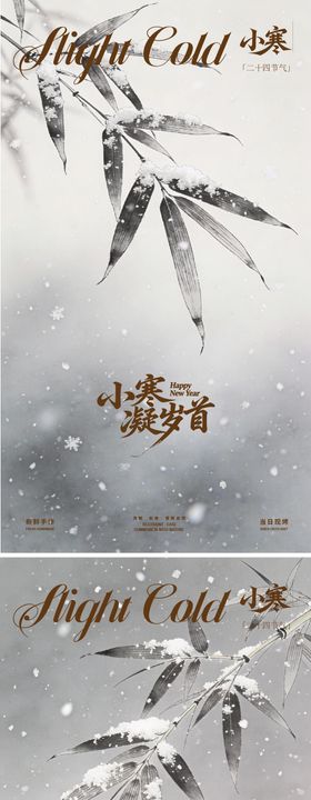 二十四节气大寒小寒海报