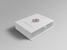 高端文艺简约极简VI包装盒效果