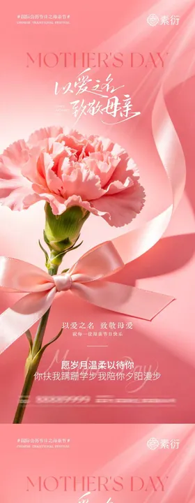 母亲节康乃馨温馨插画海报