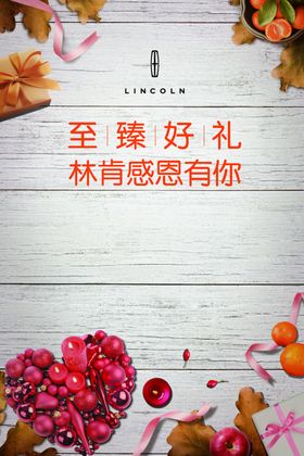 林肯感恩有你