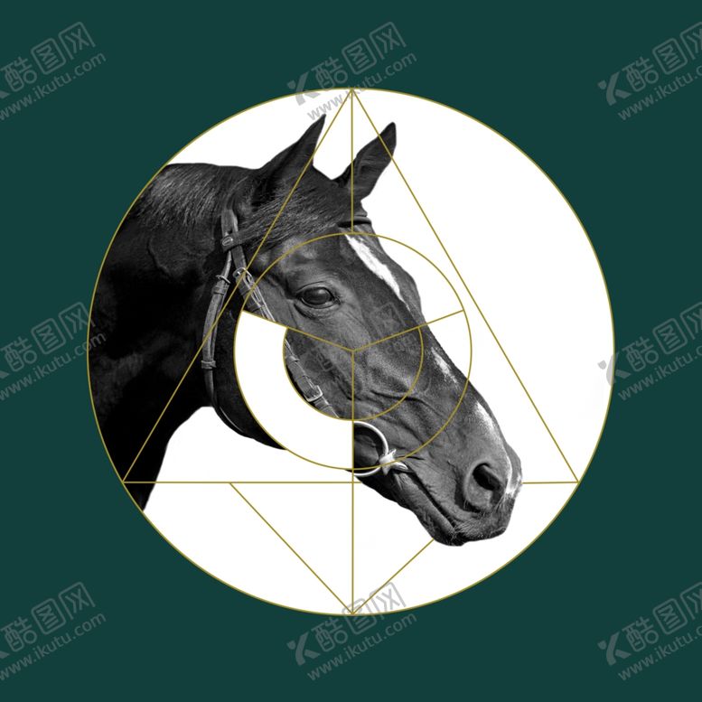 编号：26577805090359559525【酷图网】源文件下载-马装饰画