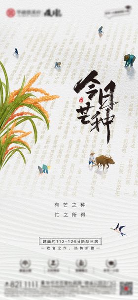 芒种节气海报