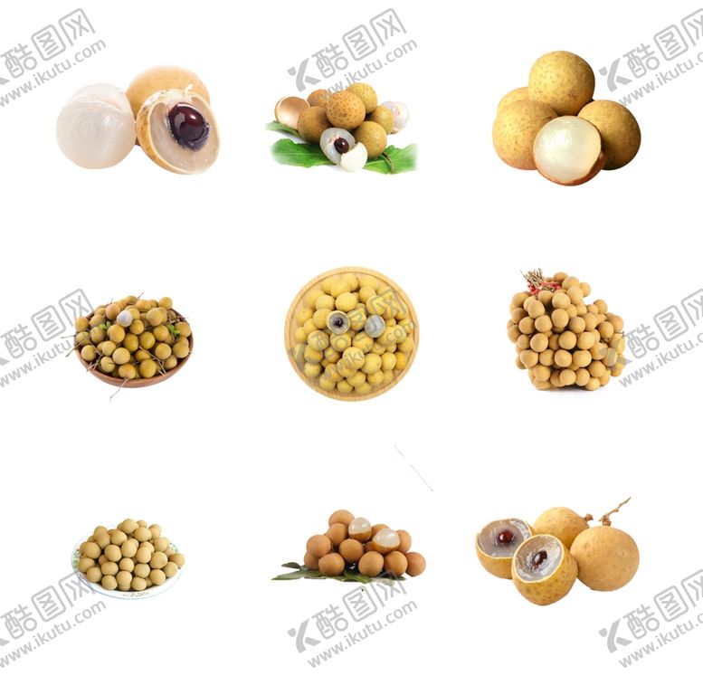 编号：93601810280025457663【酷图网】源文件下载-桂圆
