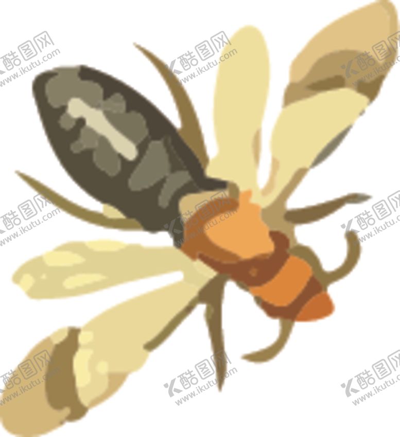 编号：67536909170612311533【酷图网】源文件下载-蜜蜂昆虫插画