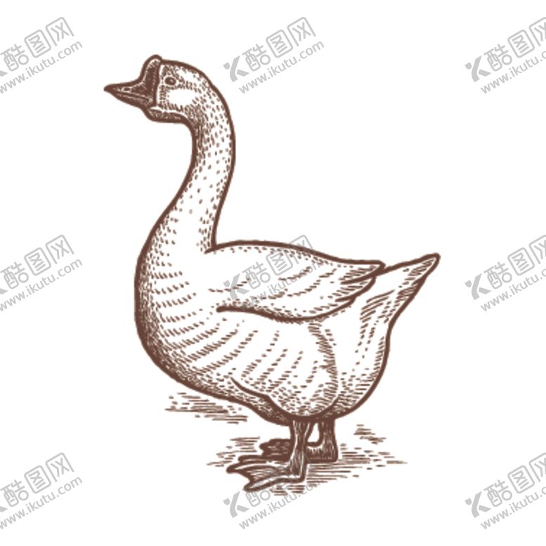 编号：23077807022023161977【酷图网】源文件下载-家养动物主题插画