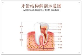 楼梯结构施工图