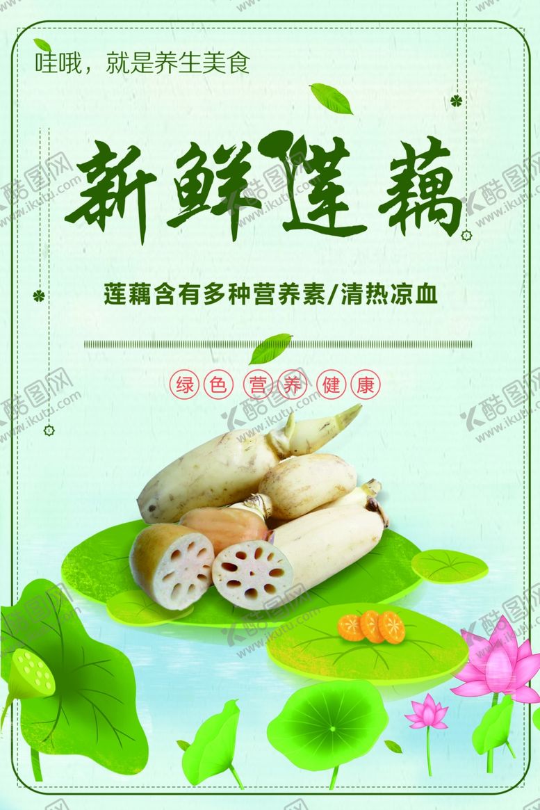 编号：14878601300259192216【酷图网】源文件下载-新鲜莲藕