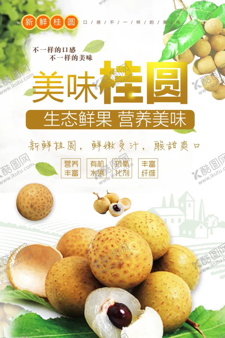 编号：53227712082010334104【酷图网】源文件下载-桂圆