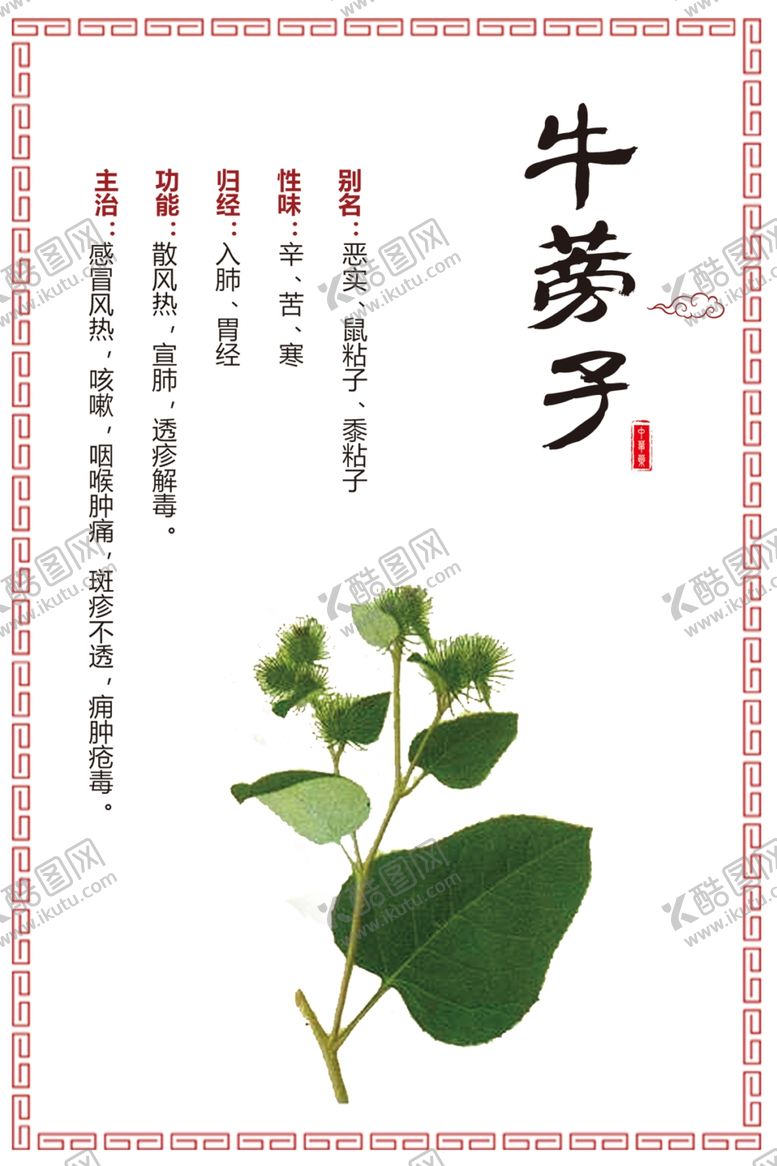 编号：93419009222126294165【酷图网】源文件下载-牛蒡子草药