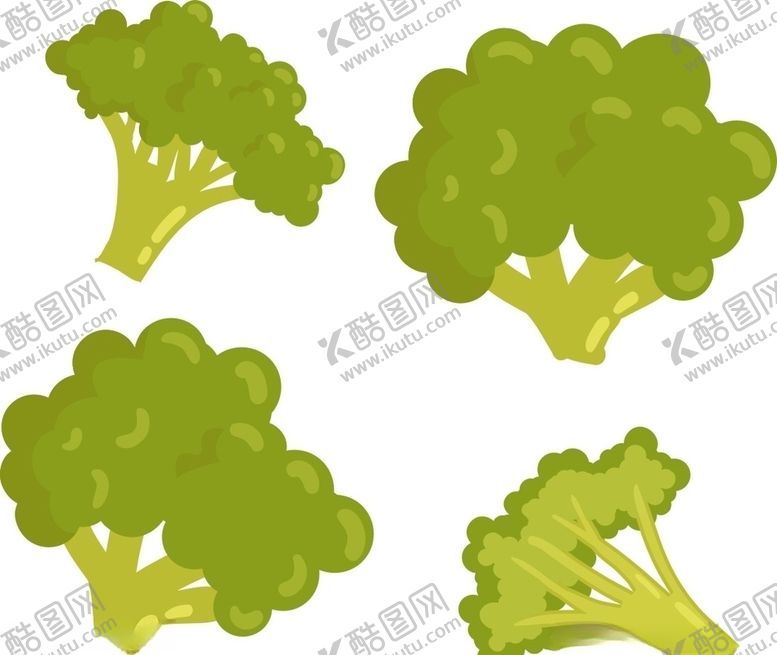 编号：45782310191110423584【酷图网】源文件下载-花菜西蓝花