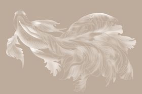 飘逸白色羽毛艺术造型
