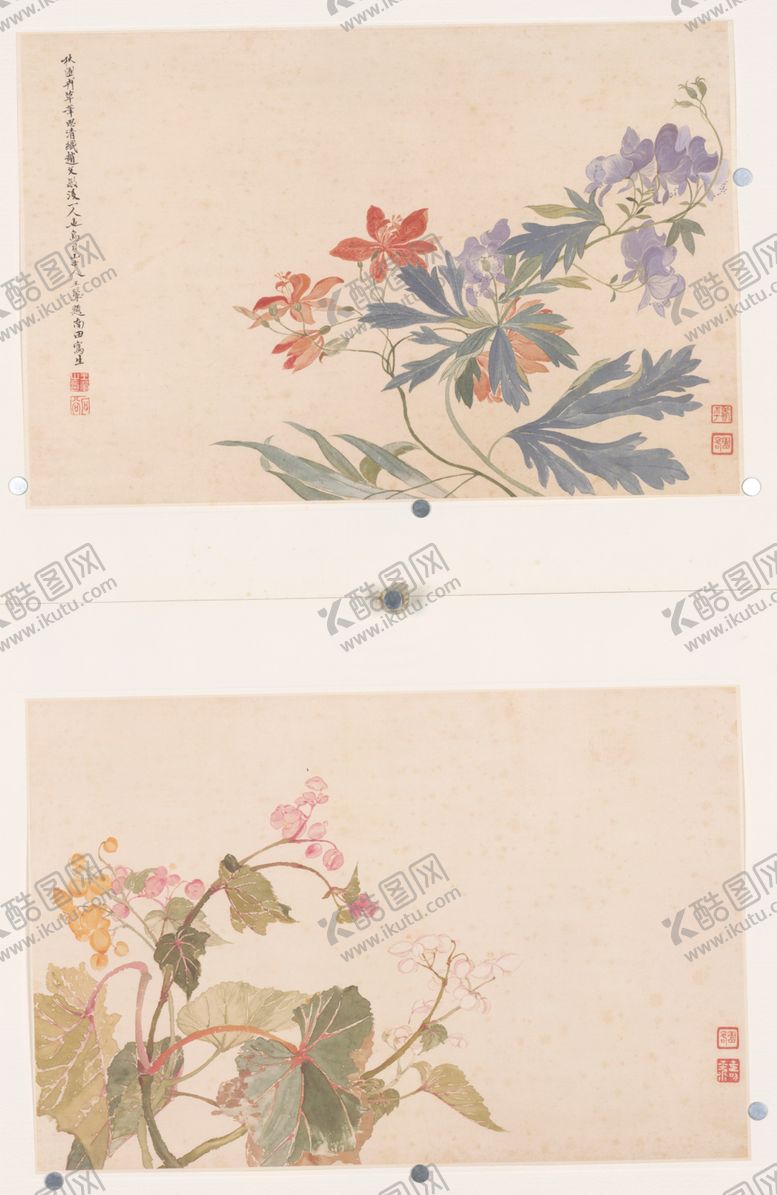 编号：27931010122024128845【酷图网】源文件下载-清代恽寿平花草绘画