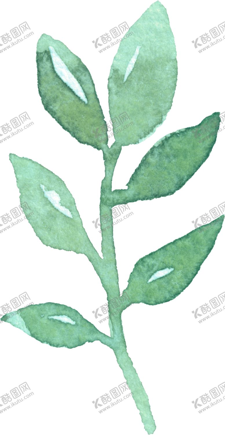 编号：41599810221341153211【酷图网】源文件下载-水彩手绘花卉花朵植物