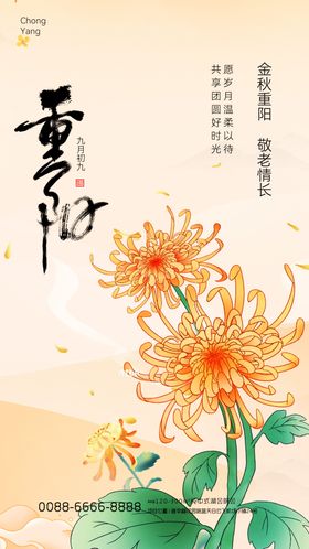 重阳节海报传统节日