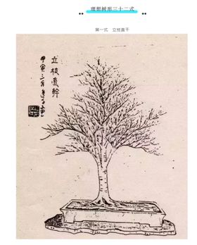 盆景造型一式