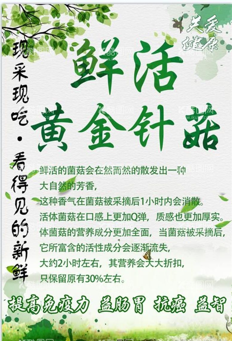 编号：41697209171810219062【酷图网】源文件下载-鲜活黄金针菇