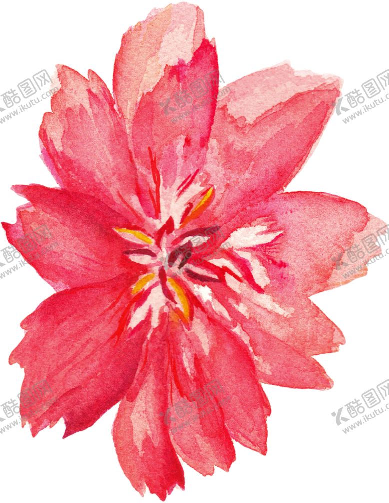 编号：93330207121910387456【酷图网】源文件下载-趣味猴子