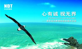 心有诚视无界