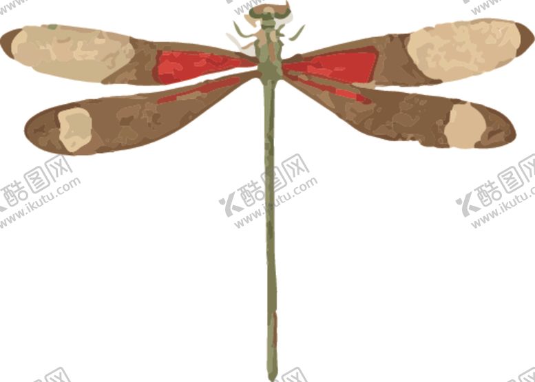 编号：49156509220322245799【酷图网】源文件下载-蜻蜓昆虫插画