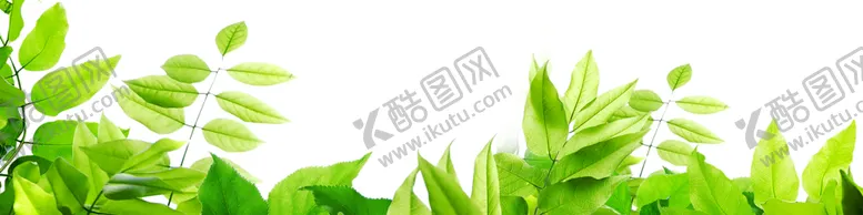 编号：67196007012116192244【酷图网】源文件下载-花边素材