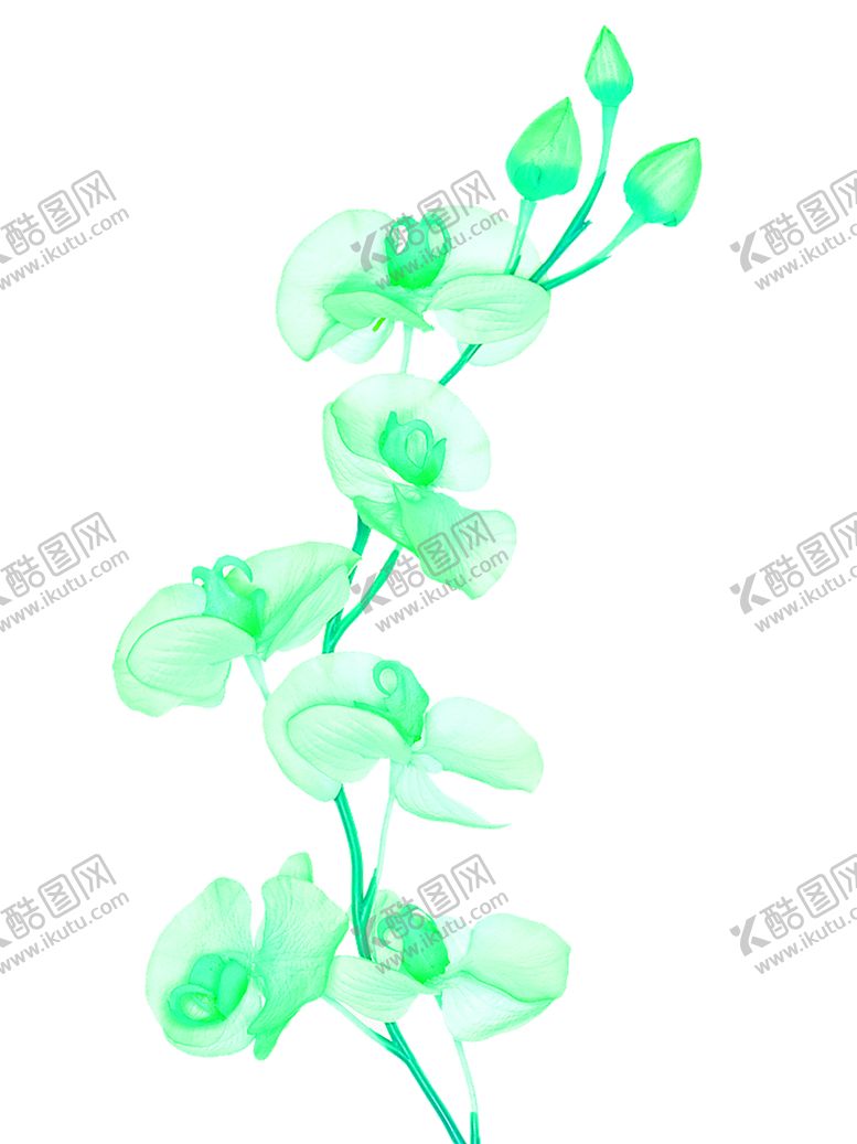编号：72496810061913397418【酷图网】源文件下载-浪漫素材