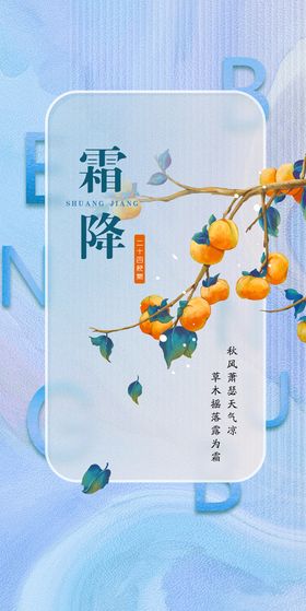 中国传统二十四节气霜降海报