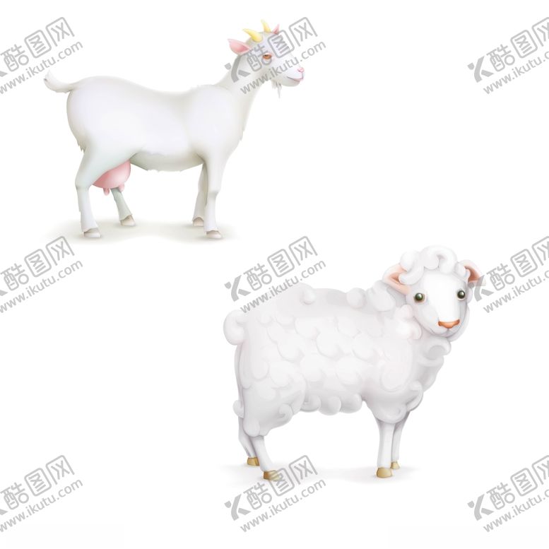 编号：95612705132251143118【酷图网】源文件下载-动物羊