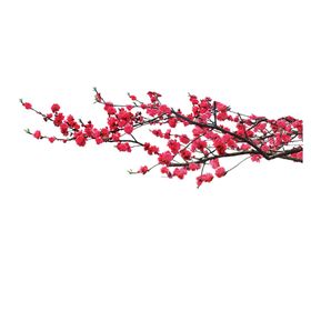 梅花桃花PNG卉清新兰竹菊