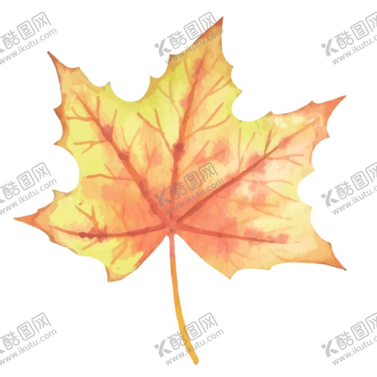 编号：81899707121534408971【酷图网】源文件下载-绿色水彩植物树叶