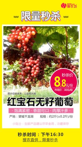 秒杀红宝石葡萄