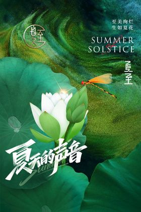 简约荷叶二十四节气夏至节气海报