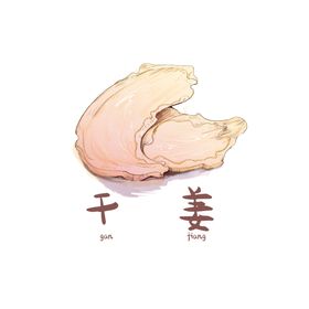 草本植物药材