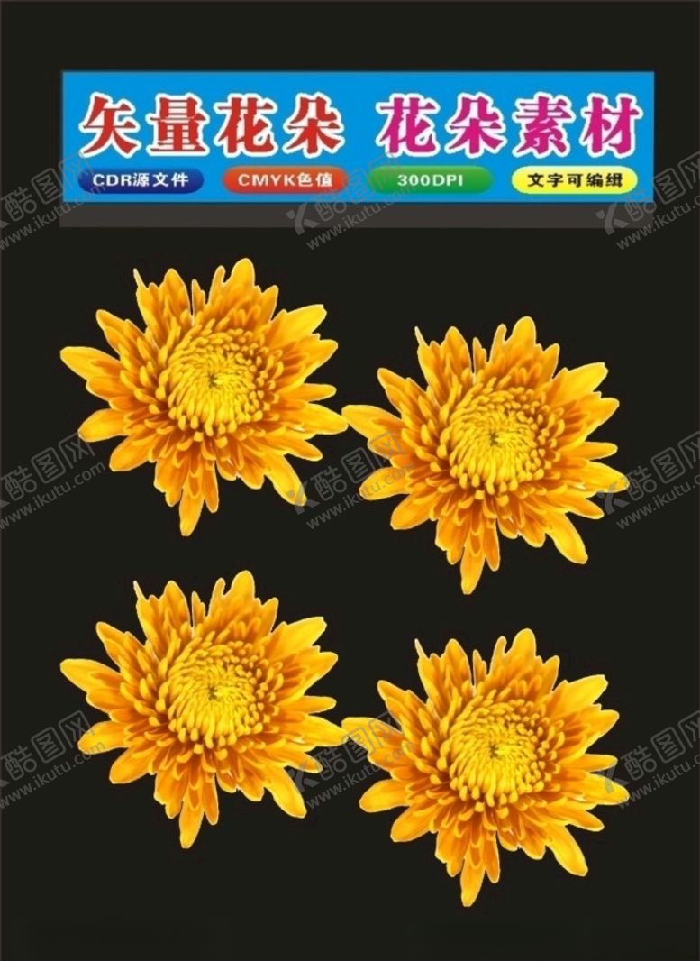 编号：79356510021603176713【酷图网】源文件下载-花植物花朵