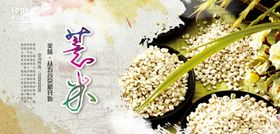 薏米海报