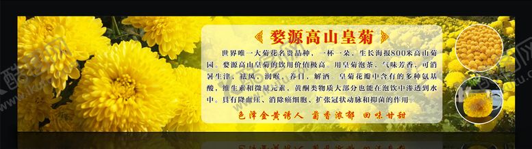 编号：68988704290838513156【酷图网】源文件下载-皇菊海报